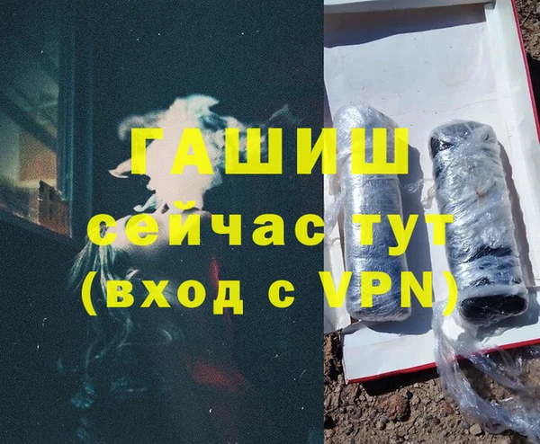 PSILOCYBIN Козловка