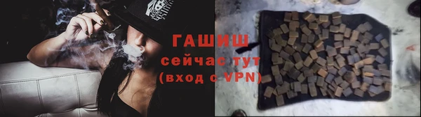 PSILOCYBIN Козловка