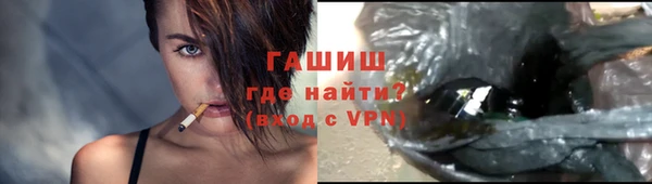 трава Корсаков