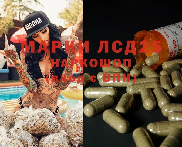 PSILOCYBIN Козловка