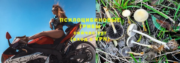 дурь Кодинск