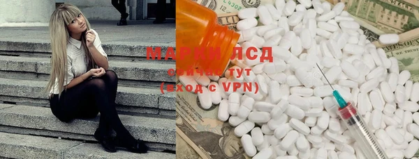 трава Корсаков