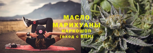трава Корсаков
