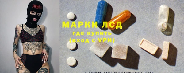 трава Корсаков