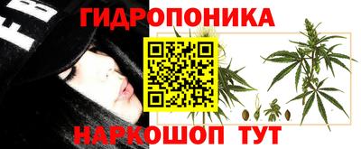 каннабис Кимры
